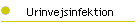 Urinvejsinfektion